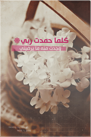  .. bntpal_1433087656_93
