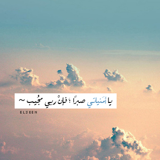  .. bntpal_1433087657_41