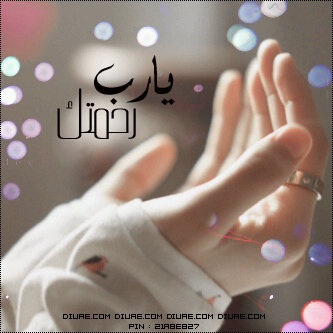  .. bntpal_1433087657_59