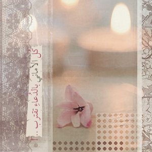 .. bntpal_1433087658_74
