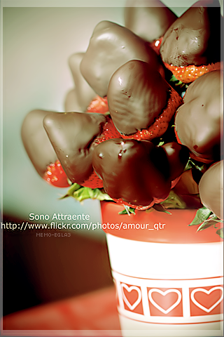 2015 2016 bntpal_1433093499_36