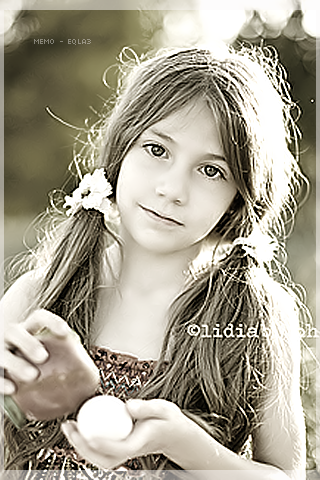2015 2016 bntpal_1433093503_28