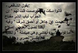 bntpal_1433159143_29