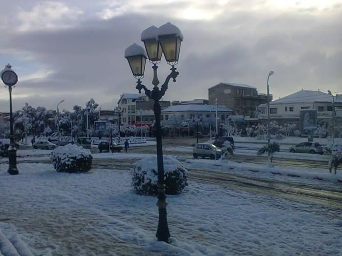  bntpal_1433169896_28