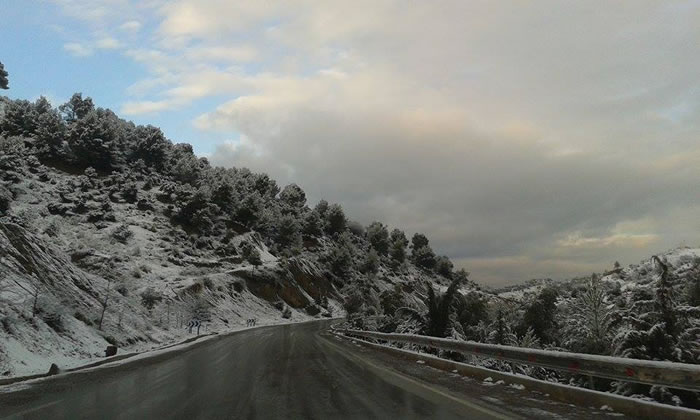  bntpal_1433169897_26