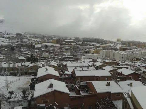 bntpal_1433169899_38