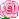  bntpal_1433169908_61