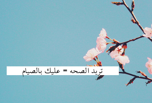 bntpal_1433170579_49