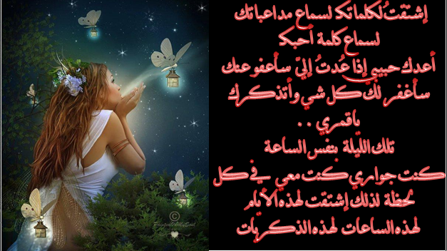 bntpal_1433205274_16