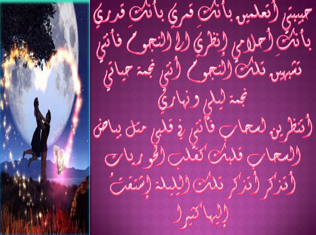 bntpal_1433205276_43