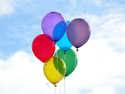 " bntpal_1433212316_90