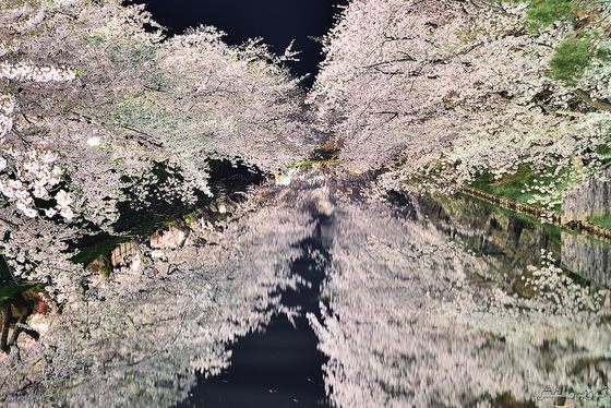  bntpal_1433233143_16