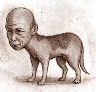 bntpal_1433378735_91