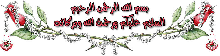 bntpal_1433378737_56