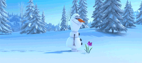 bntpal_1433492119_91