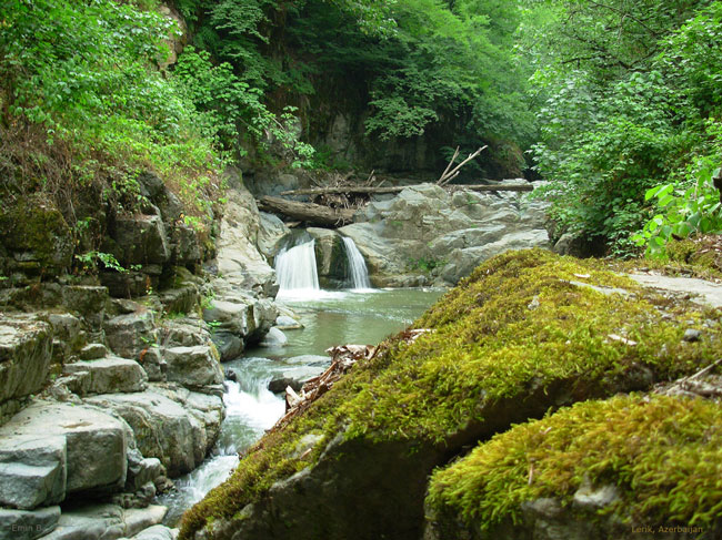   bntpal_1433512641_65