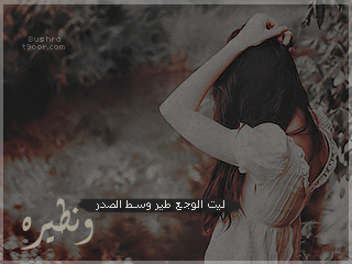bntpal_1433668933_38