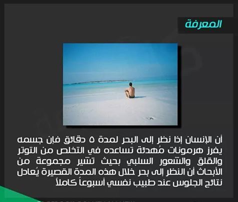 bntpal_1433682955_60