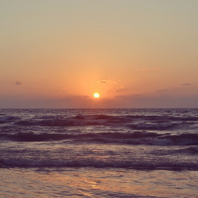 bntpal_1433684192_12
