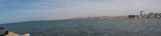 ♥  bntpal_1433686611_80