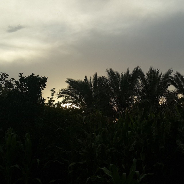 ♥  bntpal_1433686618_53