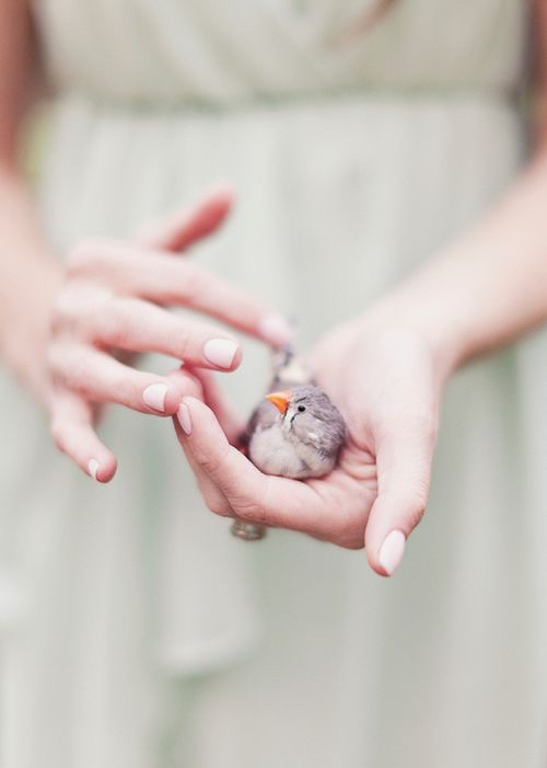 ♥ " bntpal_1433713929_66