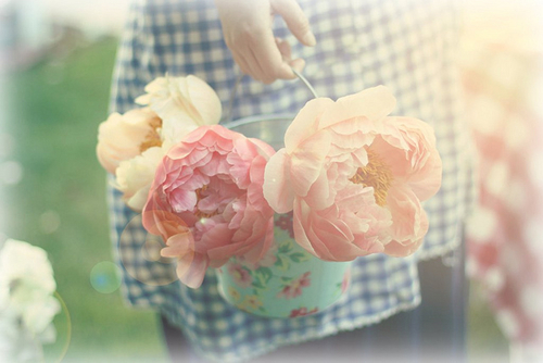 ♥ " bntpal_1433713930_17