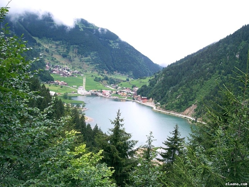  bntpal_1433801278_76