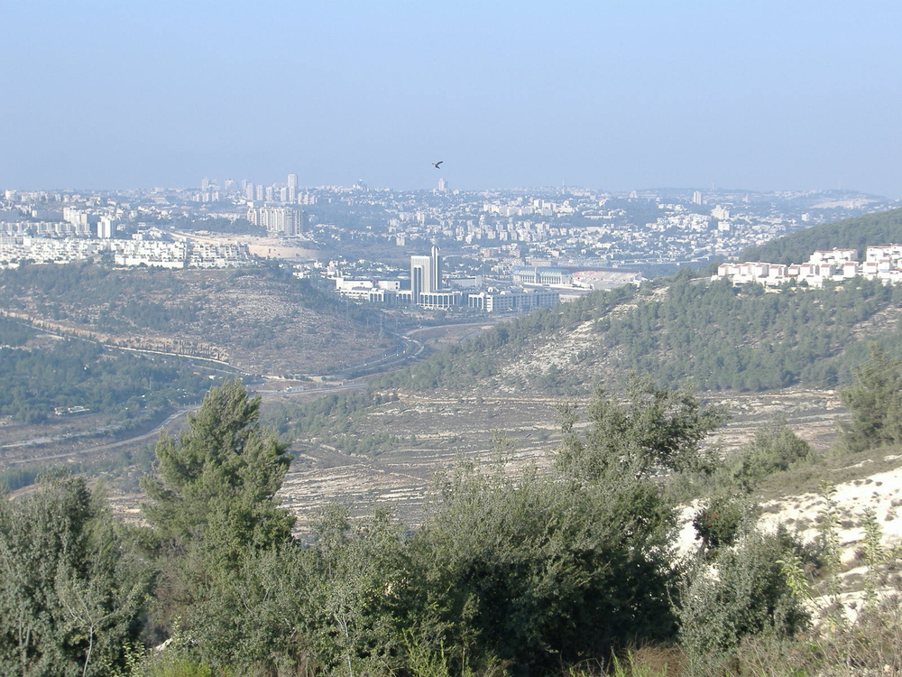  bntpal_1433834125_59