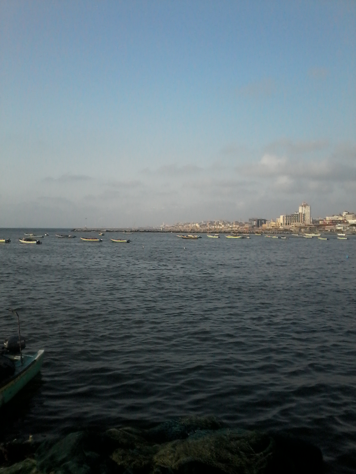 bntpal_1433945982_96