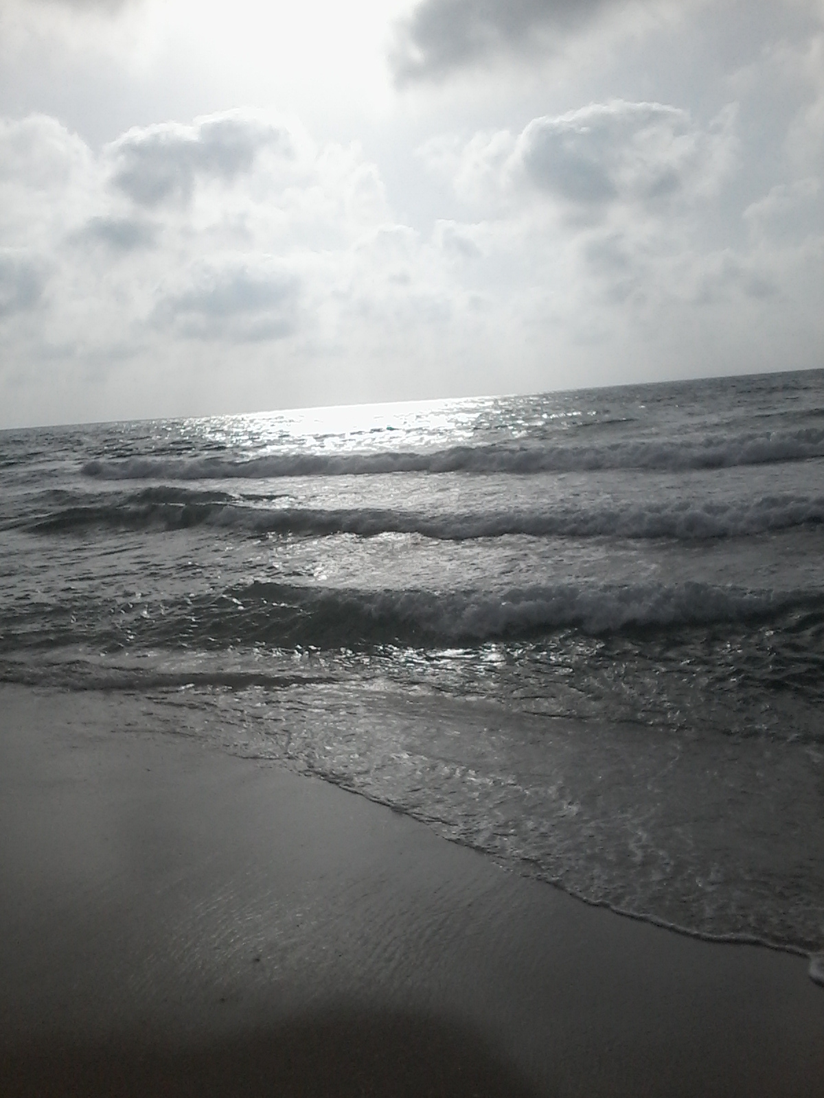 bntpal_1433945985_32