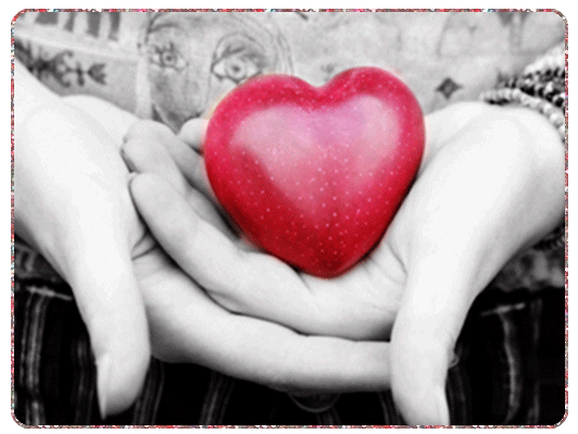 bntpal_1433967457_14