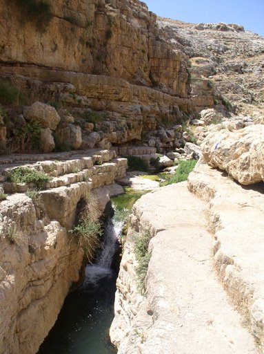  bntpal_1434015666_87