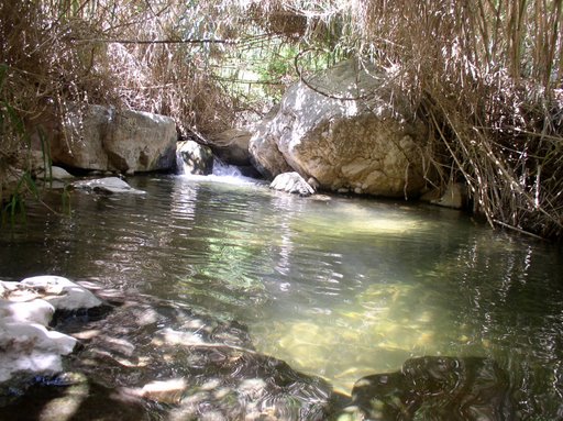  bntpal_1434015669_36