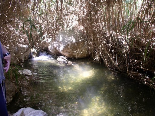  bntpal_1434015670_93