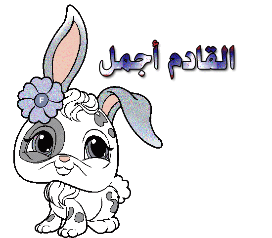  bntpal_1434055081_71
