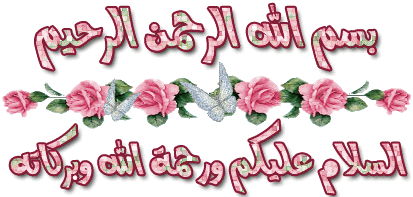  bntpal_1434055082_76