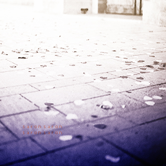  bntpal_1434139961_52