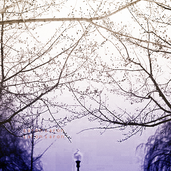  bntpal_1434139966_52