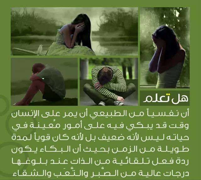 bntpal_1434141056_18