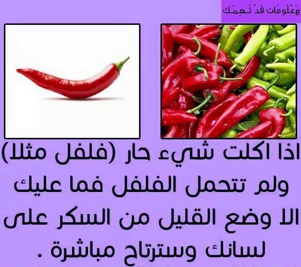 bntpal_1434141057_36