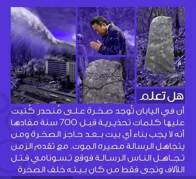 bntpal_1434141058_73