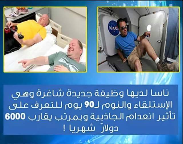 bntpal_1434141059_70
