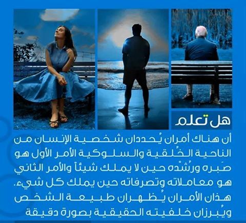 bntpal_1434141059_93