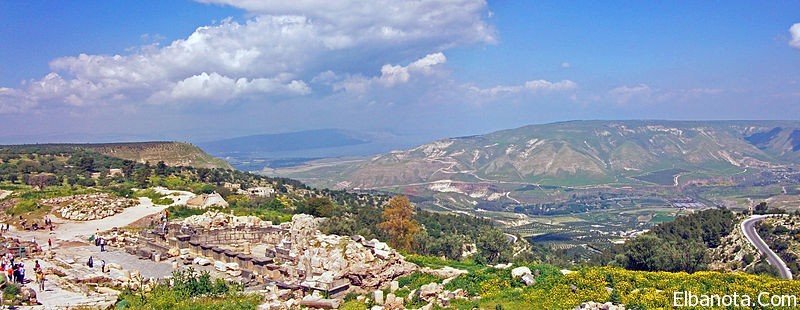  bntpal_1434191265_35