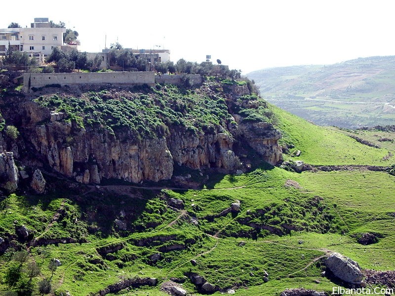  bntpal_1434191268_67