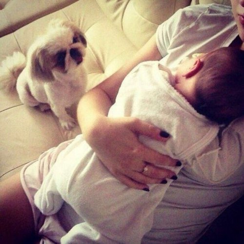♥ ☺ bntpal_1434222771_46