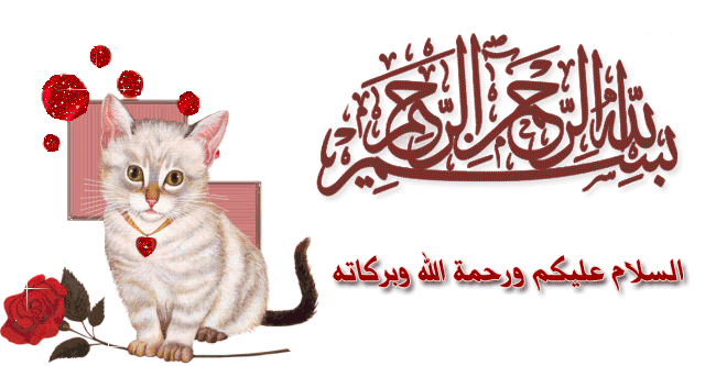 bntpal_1434269071_15
