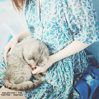  ♡ bntpal_1434271063_59