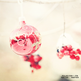  ♡ bntpal_1434271065_53